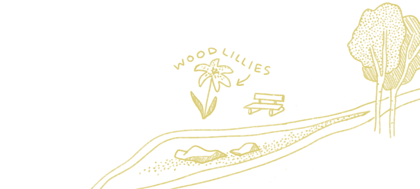 An illustration of a river scene with wood lillies