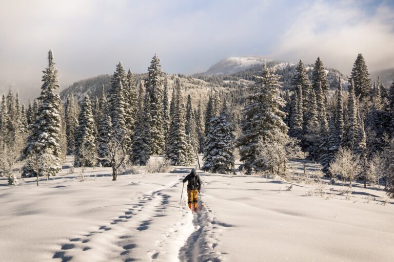 Visit Bragg Creek 